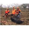 Image 2 : 3-Day/2-Night Texas Hog Hunt for 2 Hunters