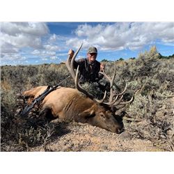 5-Day New Mexico Elk Hunt for 1 Hunter