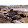 Image 1 : Guided 1-Day Nebraska Waterfowl Hunt for 2 or 4 hunters
