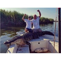 1-Day Florida Alligator Gator Hunt for 2 People
