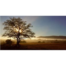 7-Day African Safari for 1 Hunter with 4 Trophies