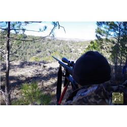 5-Day Spanish Hunt for 1 Hunter with Trophy Credit