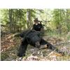 Image 3 : 6-Day Fully Guided Spring Black Bear Hunt in Alberta, Canada for One (1) Hunter
