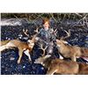 Image 1 : Alaska Sitka Blacktail Deer Hunt for One (1) Hunter
