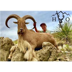 3-Day West Texas Aoudad Hunt for One (1) Hunter