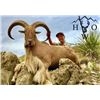 Image 1 : 3-Day West Texas Aoudad Hunt for One (1) Hunter