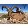 Image 3 : 3-Day West Texas Aoudad Hunt for One (1) Hunter
