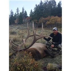 2020 Utah Book Cliffs, Little Creek Roadless Bull Elk Conservation Permit, Multi-season