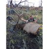 Image 2 : 2020 Utah Book Cliffs, Little Creek Roadless Bull Elk Conservation Permit, Multi-season