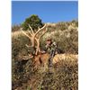 Image 3 : 2020 Utah Book Cliffs, Little Creek Roadless Bull Elk Conservation Permit, Multi-season