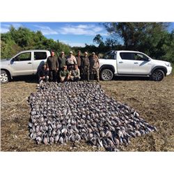 5-Day High Volume Dove Hunt in Argentina for Six (6) Hunters