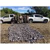 Image 1 : 5-Day High Volume Dove Hunt in Argentina for Six (6) Hunters