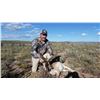 Image 2 : 3-Day Pronghorn Hunt for One (1) Hunter