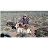 Image 3 : 3-Day Pronghorn Hunt for One (1) Hunter