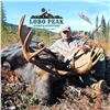 Image 1 : 8-Day Moose Hunt in British Columbia Canada for One (1) Hunter