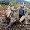 Image 2 : 8-Day Moose Hunt in British Columbia Canada for One (1) Hunter