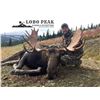 Image 3 : 8-Day Moose Hunt in British Columbia Canada for One (1) Hunter