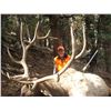Image 3 : 2020 Utah Plateau, Boulder/Kaiparowits Bull Elk Conservation Permit Any Legal Weapon (rifle)