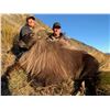 Image 2 : 5-Day Bull Tahr Hunt for One (1) Hunter in New Zealand