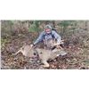 Image 2 : 5-Day Trophy Whitetail Hunt for One (1) Hunter in Kansas
