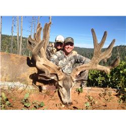 2020 Utah Paunsaugunt Buck Deer Landowner Permit, Hunter’s Choice