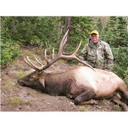 2020 Utah Panguitch Lake Bull Elk, Conservation Permit, Multi-Season