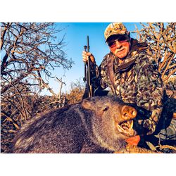 3-Day Javelina Hunt in Arizona for One (1) Hunter