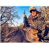 Image 1 : 3-Day Javelina Hunt in Arizona for One (1) Hunter