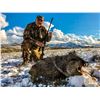 Image 2 : 3-Day Javelina Hunt in Arizona for One (1) Hunter