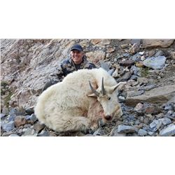 2020 Utah Ogden, Willard Peak Mountain Goat Conservation Permit (Early) Any Legal Weapon (Rifle)