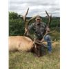 Image 2 : 3-Day Fully Guided Bull Elk Hunt in Colorado for One (1) Hunter and One (1) Non-Hunter
