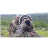 Image 4 : 2- Day Turkey Hunt in Northern California for Two (2) Hunters- One (1) Adult and One (1) Youth