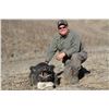 Image 1 : 2-Day California Wild Boar Hunt for Two (2) Hunters