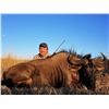 Image 3 : 7-Day South African Nyala, Zebra, Blue Wildebeest and Impala Hunt for One (1) Hunter and One (1) Non
