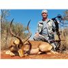 Image 5 : 7-Day South African Nyala, Zebra, Blue Wildebeest and Impala Hunt for One (1) Hunter and One (1) Non