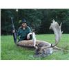 Image 2 : 3-Day Fallow Deer Hunt in Austria/Hungary for One (1) Hunter
