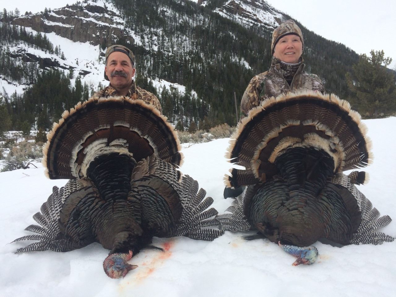 3Day Merriam Turkey Hunting in Wyoming for Two (2) Hunters