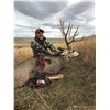 Image 2 : 7-Day Alberta Archery Mule Deer Hunt for One (1) Hunter