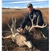 Image 3 : 7-Day Alberta Archery Mule Deer Hunt for One (1) Hunter