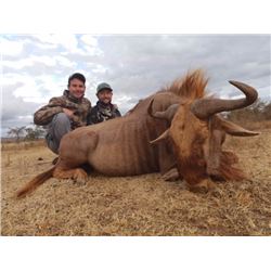 6-Day South Africa Blue Wildebeest, Impala, Blesbok and Springbok Hunt for Four (4) Hunters
