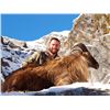 Image 2 : 5-Day Himalayan Tahr Hunt in New Zealand  for One (1) Hunter