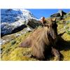 Image 4 : 5-Day Himalayan Tahr Hunt in New Zealand  for One (1) Hunter