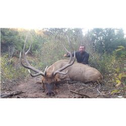 2020 Utah San Juan Bull Elk Conservation Permit Any Legal Weapon (Rifle)