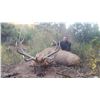 Image 1 : 2020 Utah San Juan Bull Elk Conservation Permit Any Legal Weapon (Rifle)