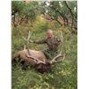 Image 3 : 2020 Utah San Juan Bull Elk Conservation Permit Any Legal Weapon (Rifle)