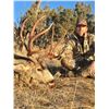 Image 1 : New Mexico Special Deer Permit