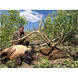2020 Utah Mt. Dutton, Bull Elk Conservation Permit, Multi Season