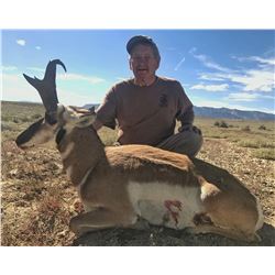 2020 Utah Statewide Buck Pronghorn Conservation Permit