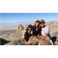 2020 Utah Box Elder, Newfoundland Mtns. Rocky Mtn. Bighorn Sheep Conservation Permit (Late)