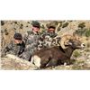Image 2 : 2020 Utah Box Elder, Newfoundland Mtns. Rocky Mtn. Bighorn Sheep Conservation Permit (Late)